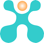 Ingress Technology Logo